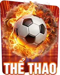 thể thao 8kbet